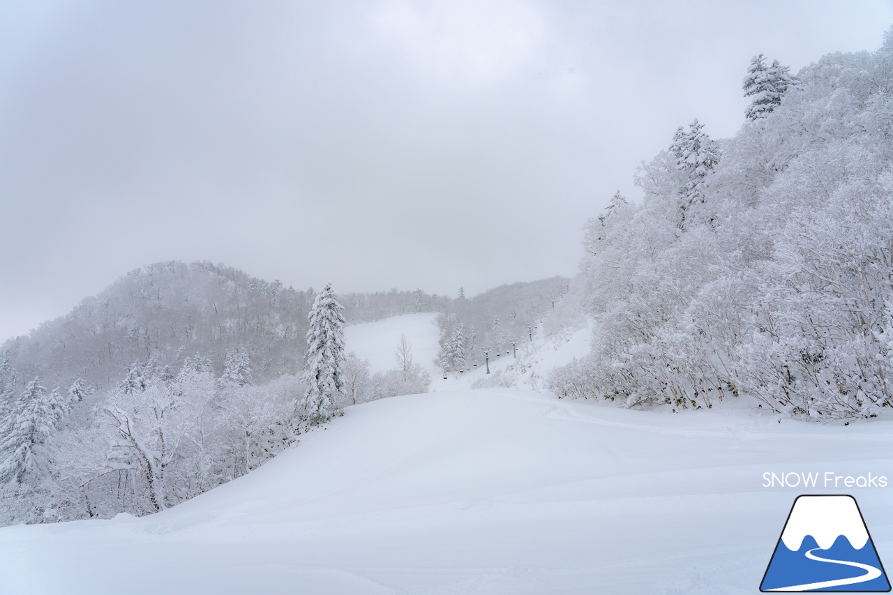 富良野スキー場｜たっぷりの『bonchi powder』が降り積ったゲレンデ…。富良野の雪は、ちょっとレベルが違います♪